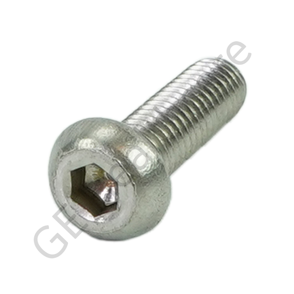 M6 X 20 TORNILLO CABEZA DE BOTÓN DE ACERO INOXIDABLE (SST) M6 X 20 TORNILLO CABEZA DE BOTÓN DE ACERO INOXIDABLE (SST)