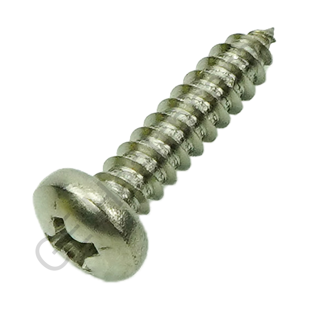 M4.2 X 19 TYAB PNHD PHH SST M4.2 X 19 TYAB PNHD PHH SST