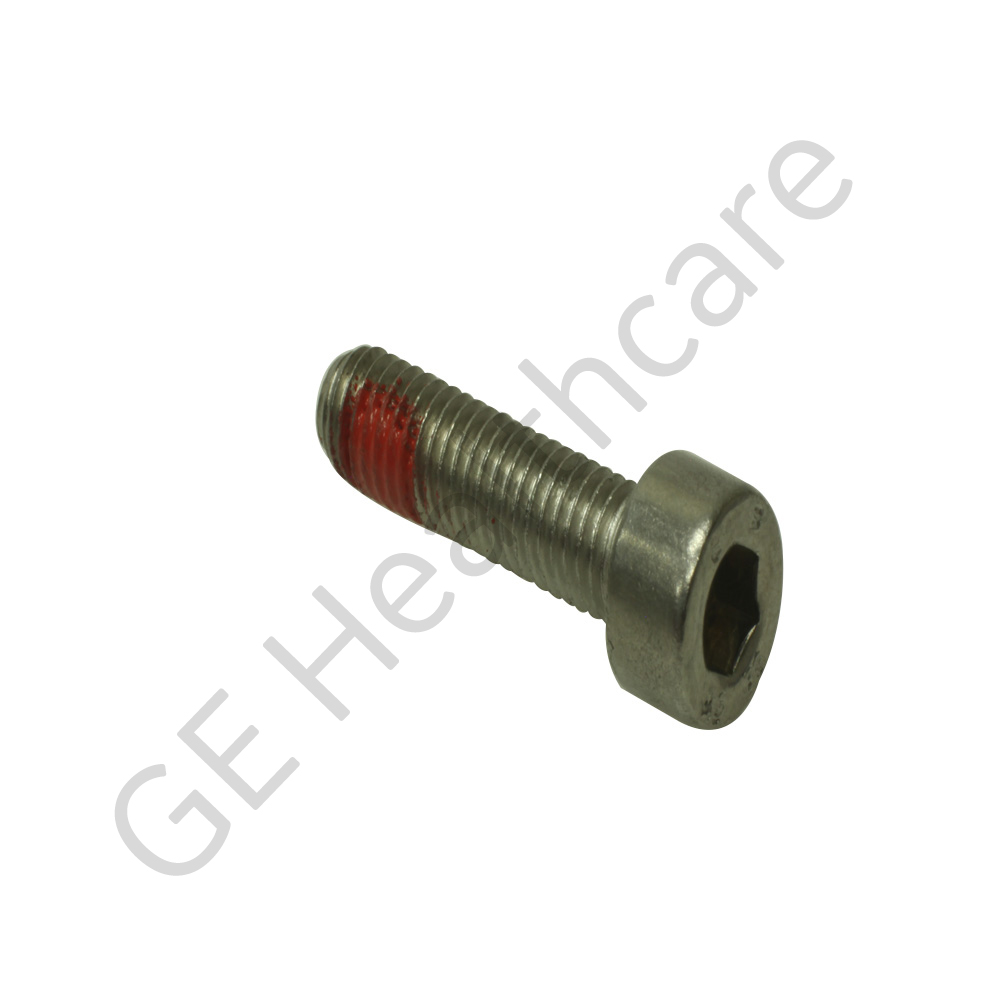 M5X20 TAPA SKT C/PARCHE NYL SST M5X20 TAPA SKT C/PARCHE NYL SST